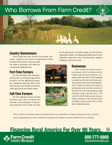 Who Borrows From Farm Credit Sales Sheet